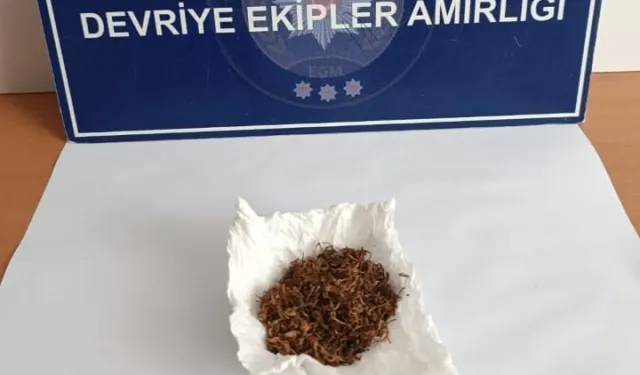 Edirne Keşan’da narkotik denetimi
