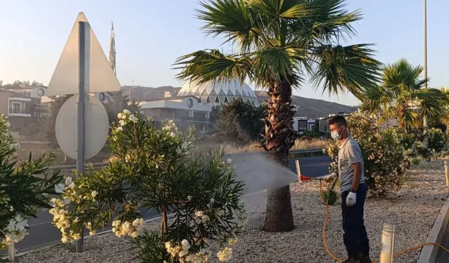 Güzelbahçe Belediyesi’nden hizmet seferberliği