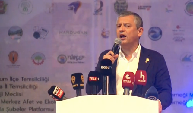 Özel: İktidar, 23 yılda 11 kez zeytine Meclis zemininde saldırdı