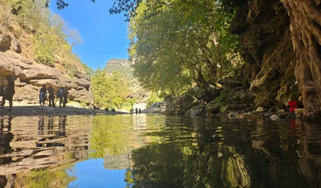 Yaşam