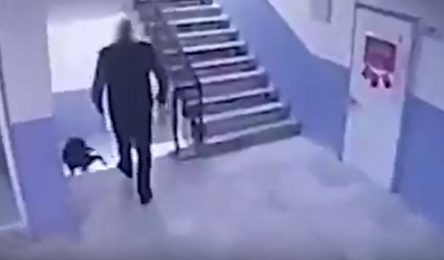 Hayat Engel Tanımaz