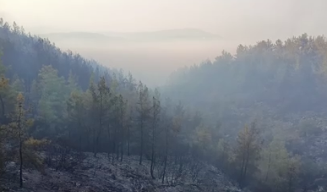 Gündem