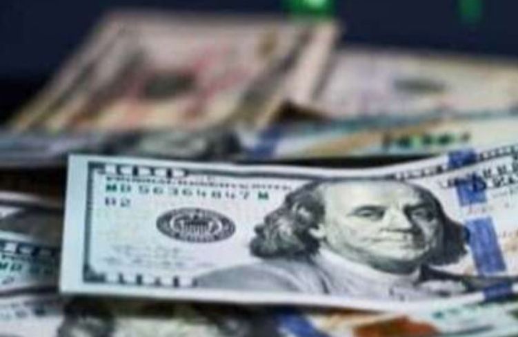 Döviz rezervlerinde son 6 haftada düşüş 30 milyar doları aştı