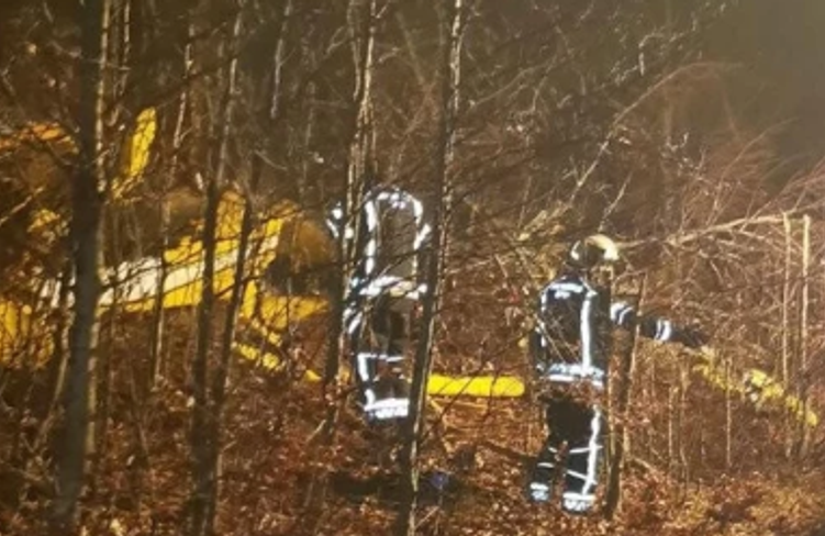 Bakım için Hırvatistan'a giden yangın söndürme uçağı düştü