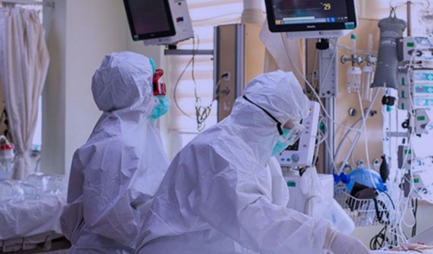 Nipah virüsü vakaları, dünya genelinde endişeye neden oldu