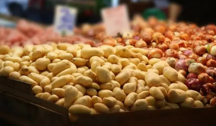 Patateste ilkbahar yağışları, havuçta ise turizm sezonu fiyatları yükseltti