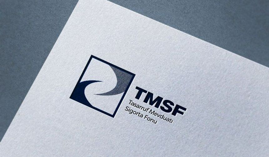 Son iki yılda hangi kanallar TMSF'nin kontrolüne girdi?