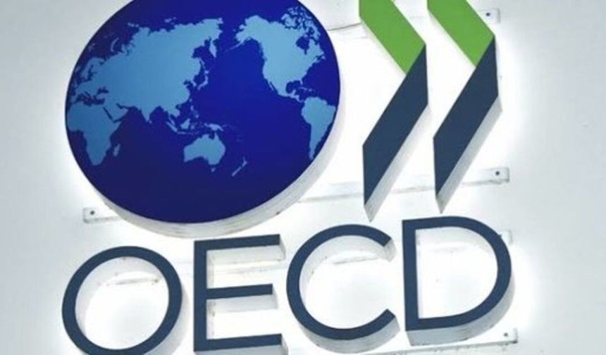 OECD, Türkiye ekonomisine ilişkin yeni tahminlerini açıkladı