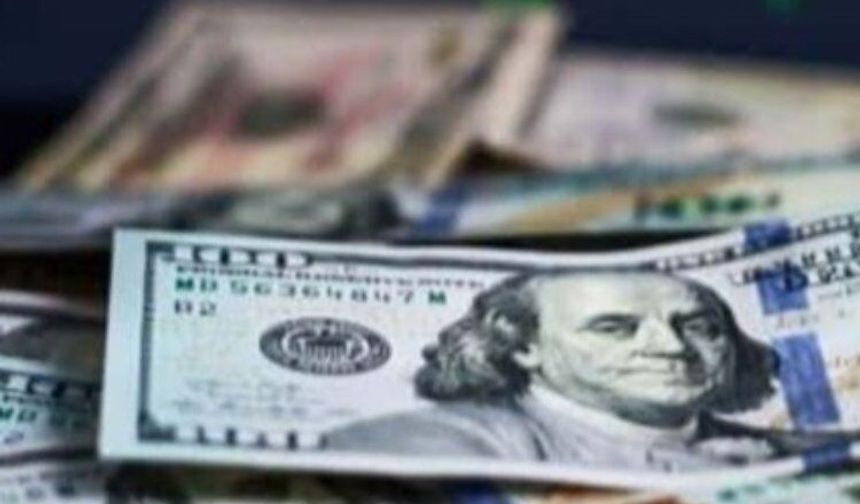 Dolar/TL’de sınırlı yükseliş; 46 TL sınırında