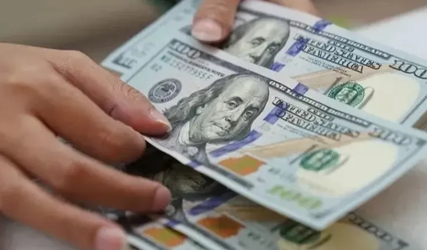 Dolar/TL en yüksek seviyesini gördü