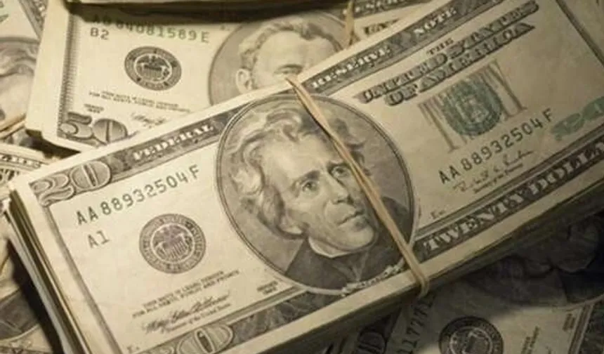 Garanti BBVA Genel Müdü­rü: Tahsili gecikmiş alacaklarda KOBİ seviyesi artıyor, KKM'den çıkanlar dolara dönüyor