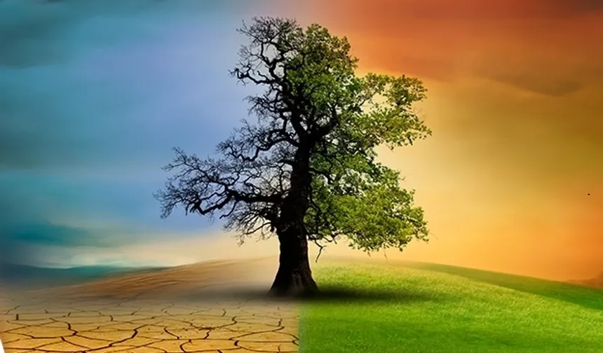 Yüzlerce bilim insanı, dünya liderlerini iklim değişikliği konusunda adım atmaya çağırdı