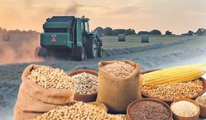 Tarımsal girdi fiyat endeksi arttı