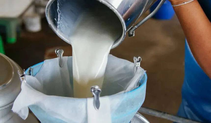 Çiğ süt üretim maliyeti litre başına 27,31 TL