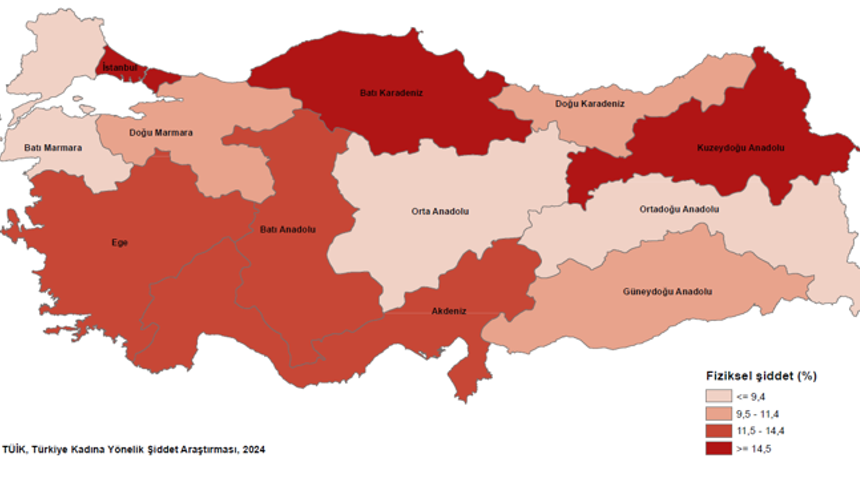 TÜİK, ilk kez yaptığı "Kadına Yönelik Şiddet" araştırmasının sonuçlarını açıkladı