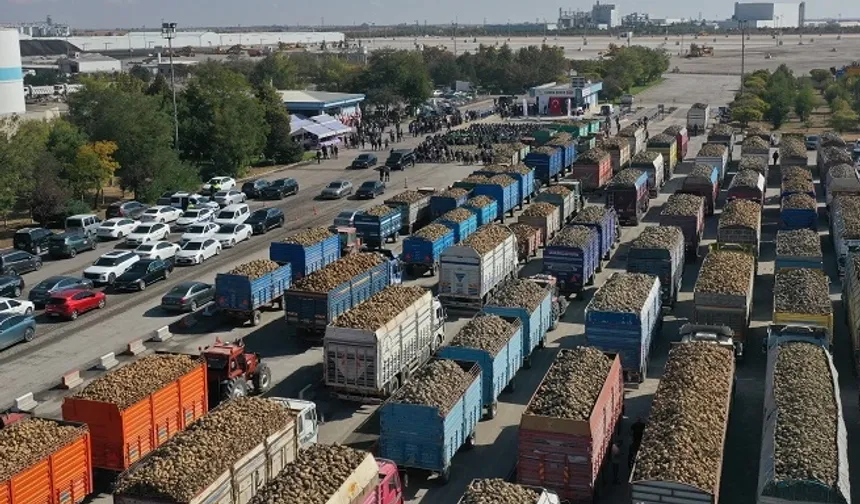 Konya ve Çumra fabrikaları pancar alımlarına başladı