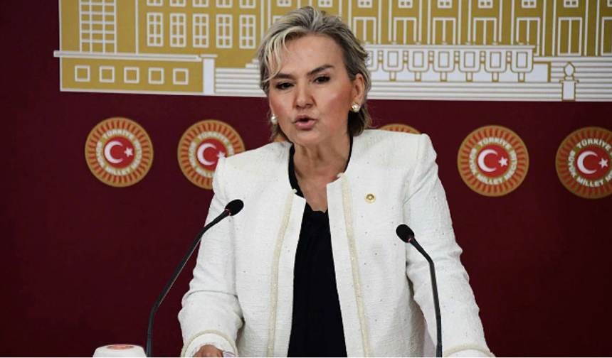 İstanbul Milletvekili Nimet Özdemir, CHP'den istifa etti