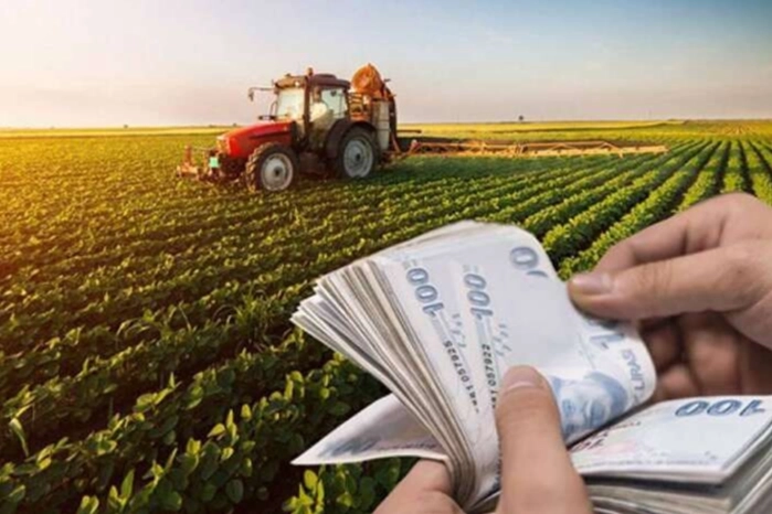 Bir ayda 16 lira arttı; sofraya etkisi ne olacak?